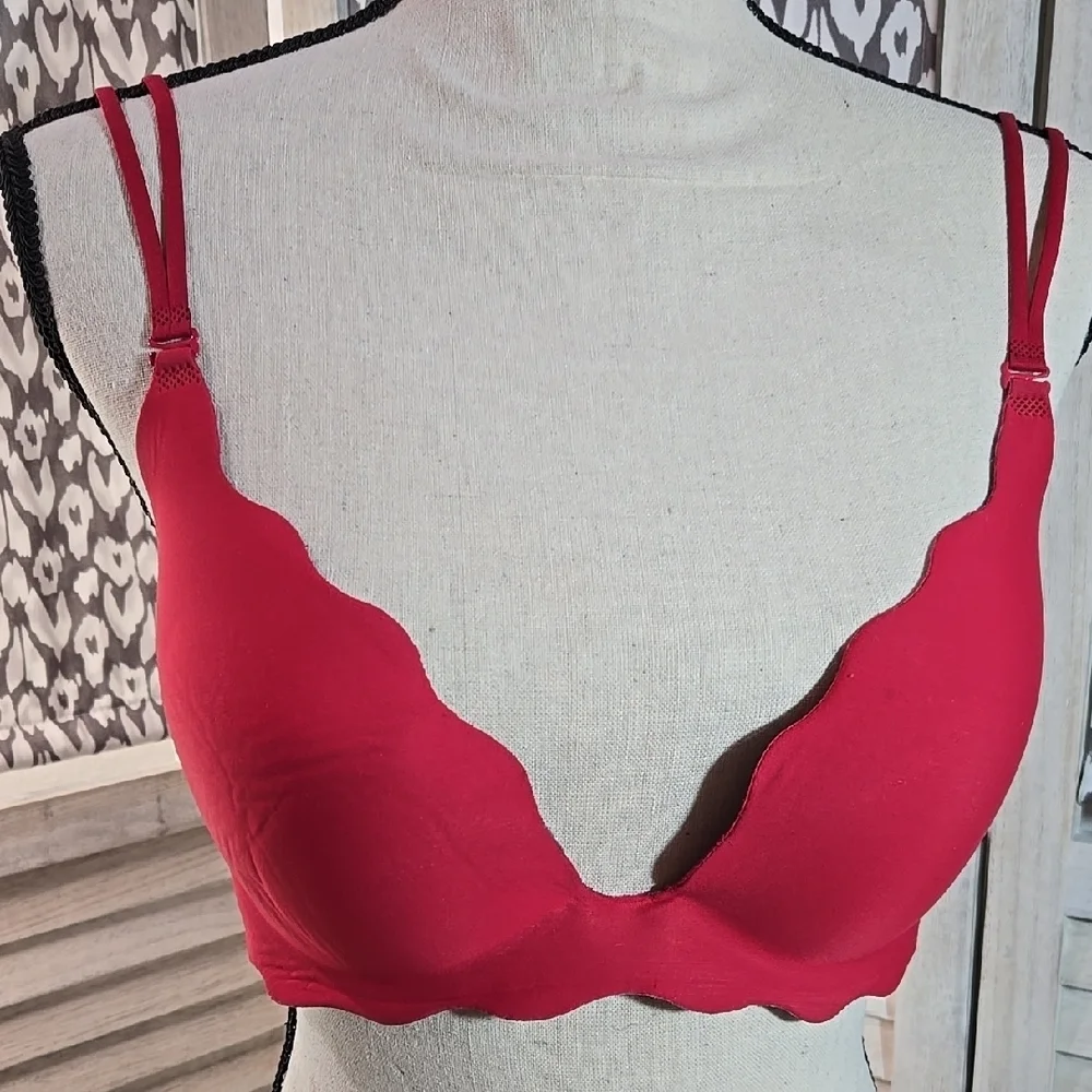 Victoria Secret Red Secret Embrace Pushup Underwire Bra 2 Hook Adjustable 36D